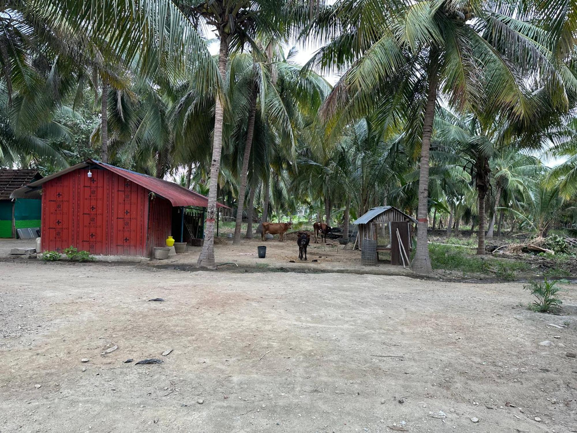 Sakthi Garden Home Stay Ироду Экстерьер фото